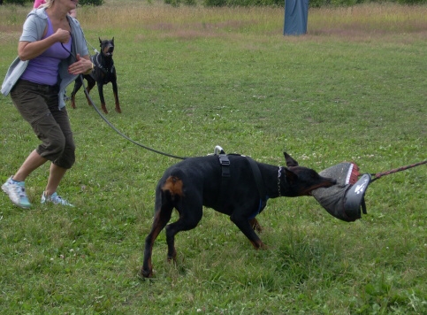 Training in Estonia 6/2007